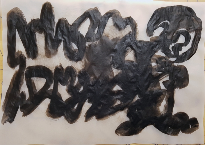 Aphasia Weitere Blätter 2